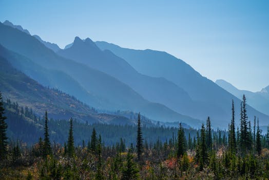 What Is Jasper, Actually?