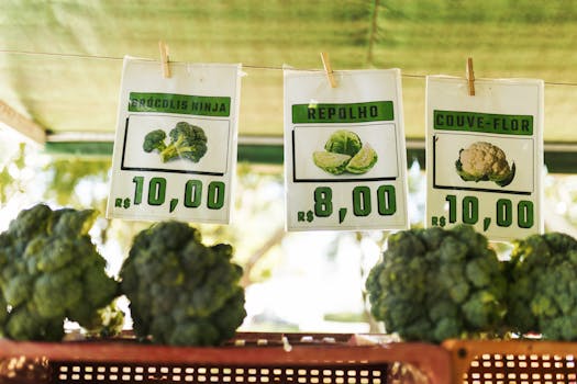 Scalenut pricing review — featured image